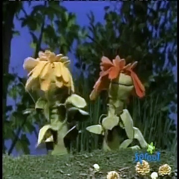 Sesame Street - That's how we got here