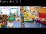 Funny Videos Of Babies Dancing Gangnam Style | Baby Gangnam Style | August 2015 Pocola