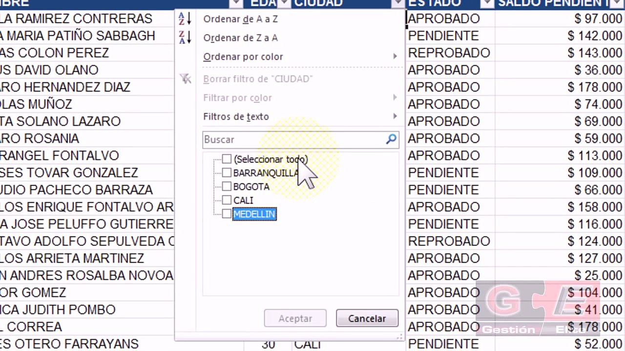 FILTROS EN EXCEL 2010