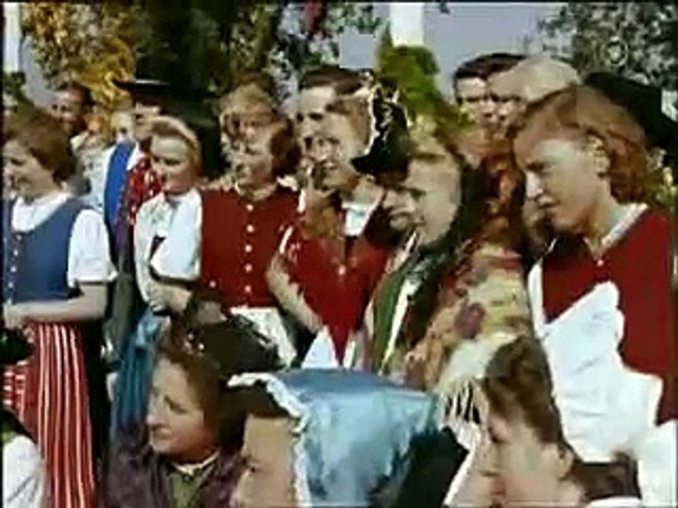Riesengebirgslied und Die Schneegans zieht.flv