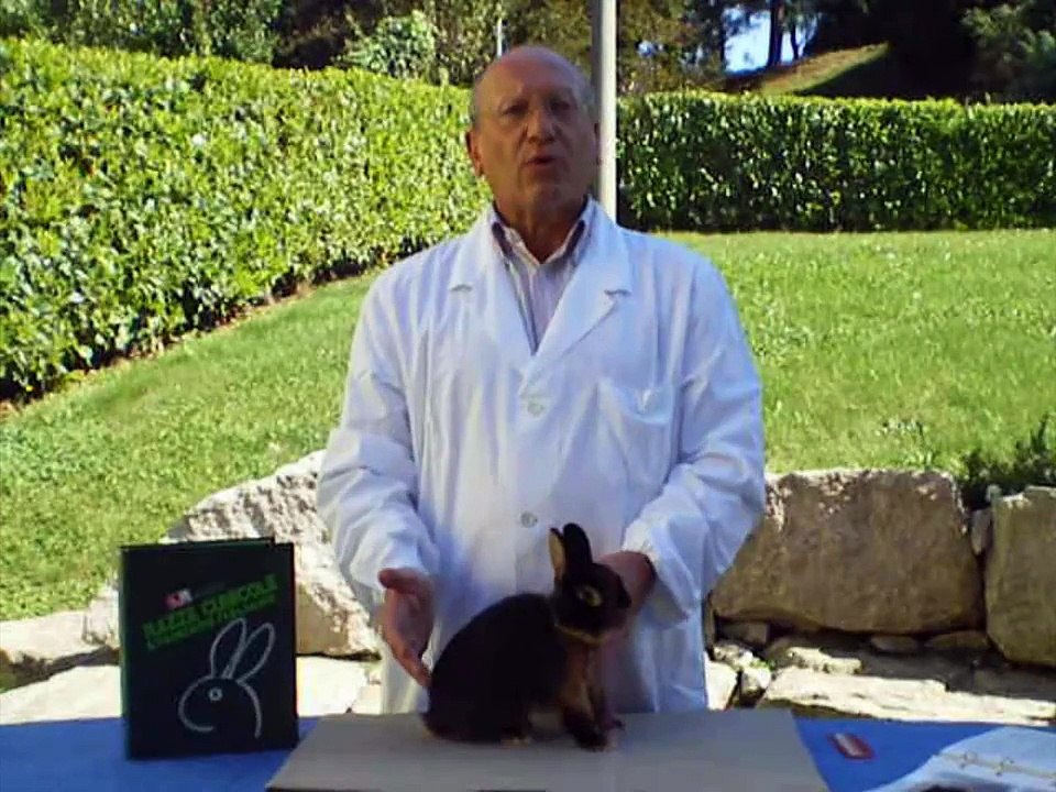 coniglio nano focato - presentazione di Tiziano Mussi .wmv