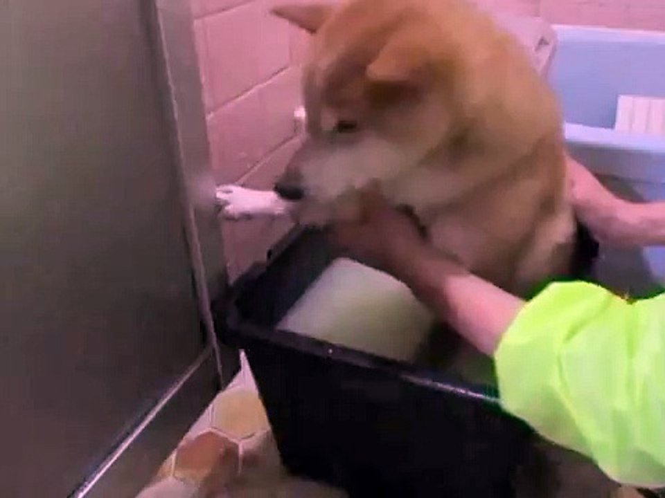 温泉の浸け方