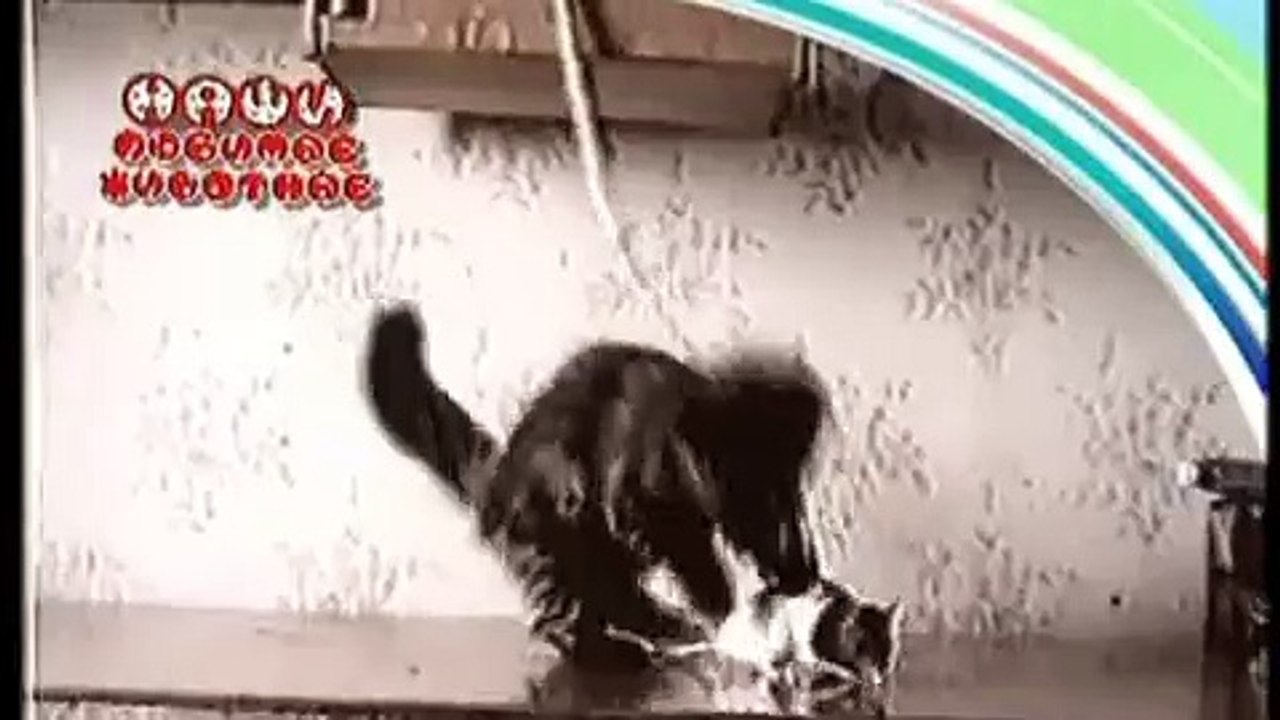 That's one clever mouse