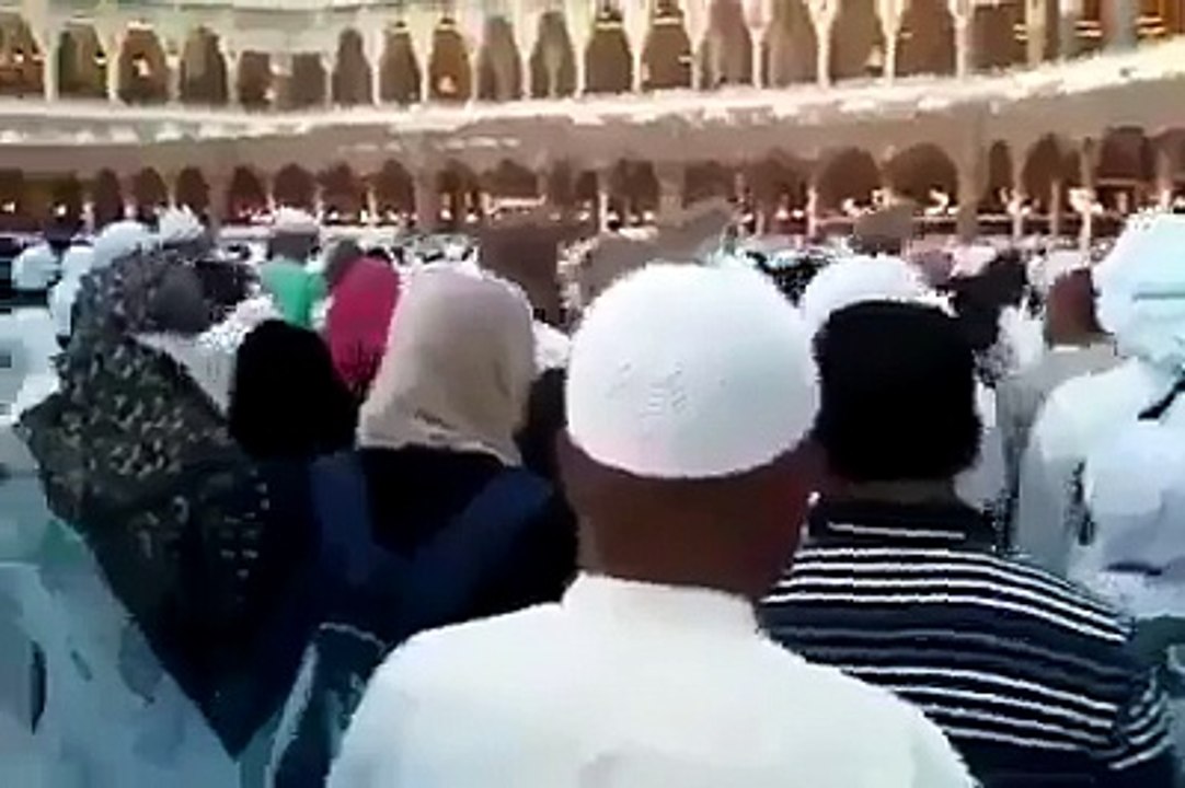 A Bird in Khana Kaba