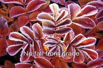 Thanks to you by Tyler Collins