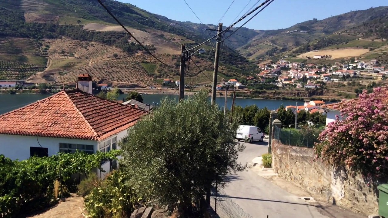 Entre Folgosa e Galafura