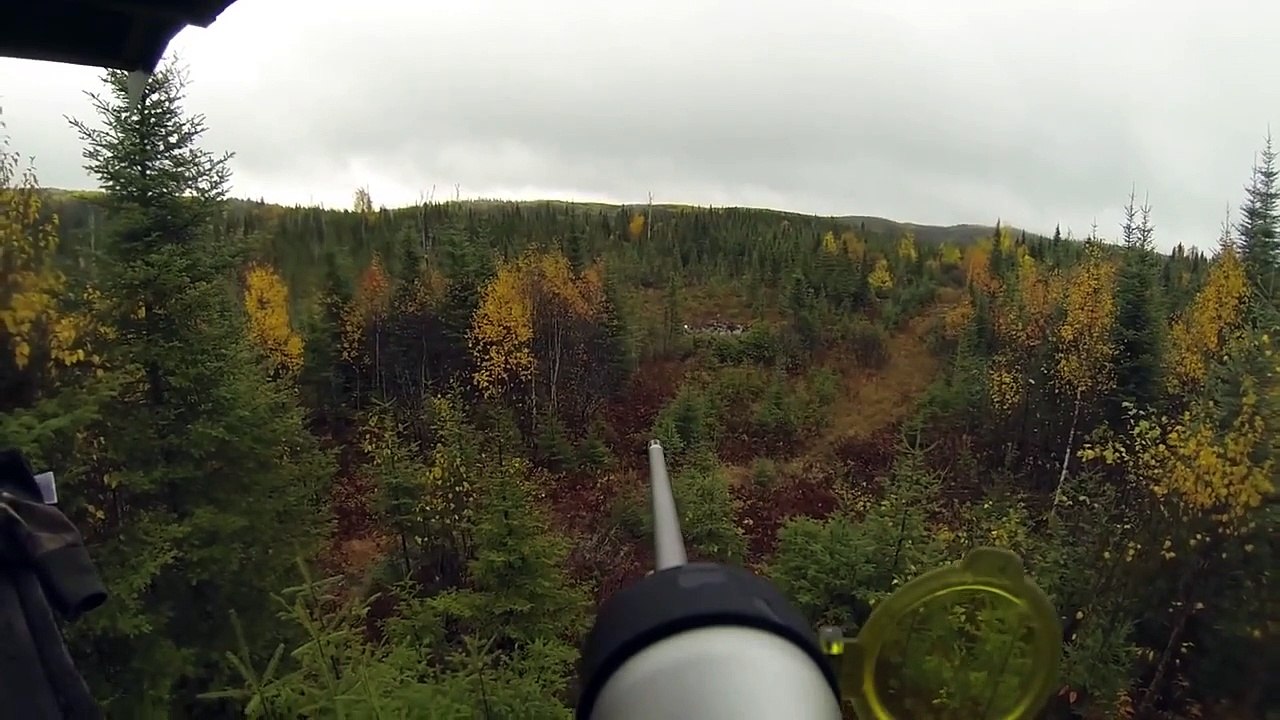 Chasse orignal récolte 2014