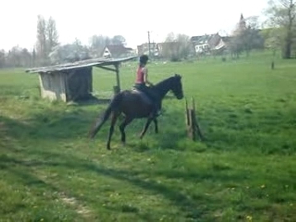 Pauline et Glénan saut 2