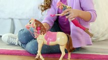 Barbie® Saddle 'N RIde Horse™ Toy Tips _ Barbie