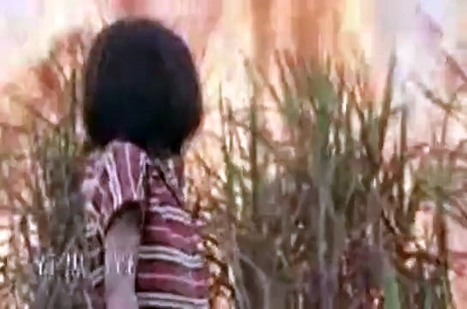 白旗の少女 の紹介ビデオ Video Dailymotion
