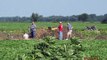 2011 Youngquist Farms Grain Elevator Construction