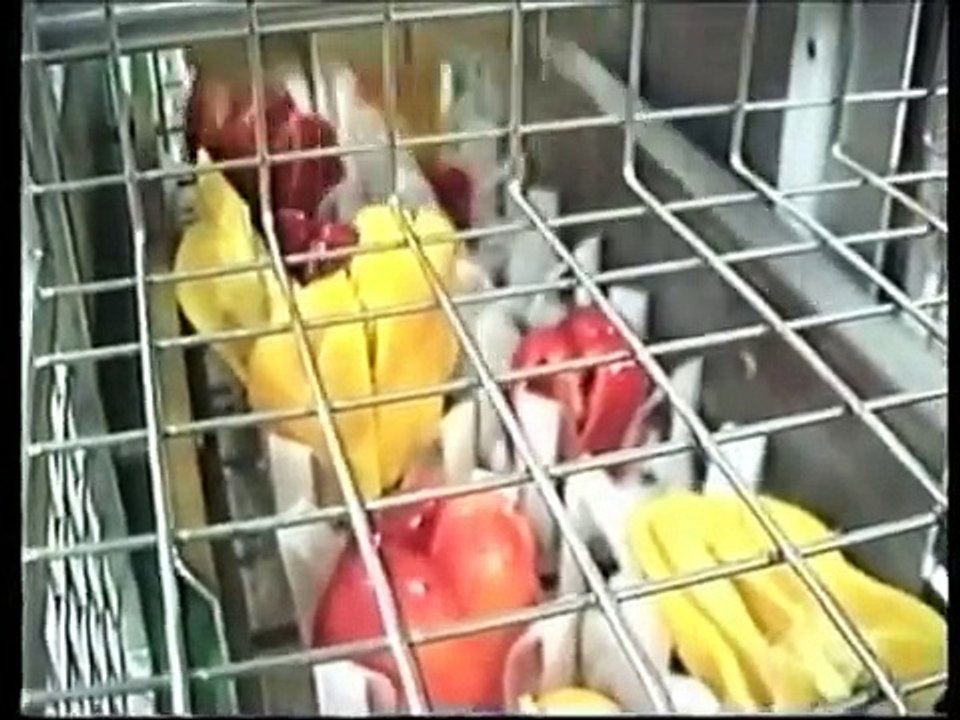 Tecnoceam Bell Pepper Quarter and Decoring