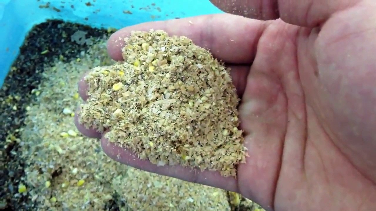 How to Setup a Black Soldier Fly Nursery