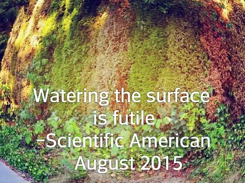 HOW TO SAVE CALIFORNIA FARMS, TREES, FROM DROUGHT CLIMATE, WATER SHORTAGE, THE SOLUTION, CALIFORNIA TREE KEEPERS SAVERS