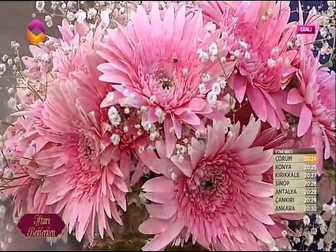 Bülbüller sazda Fatih Koca Ramazan 2015