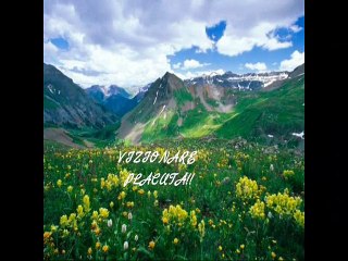 PROFESIONAL- AM JURAT DE MII DE ORI