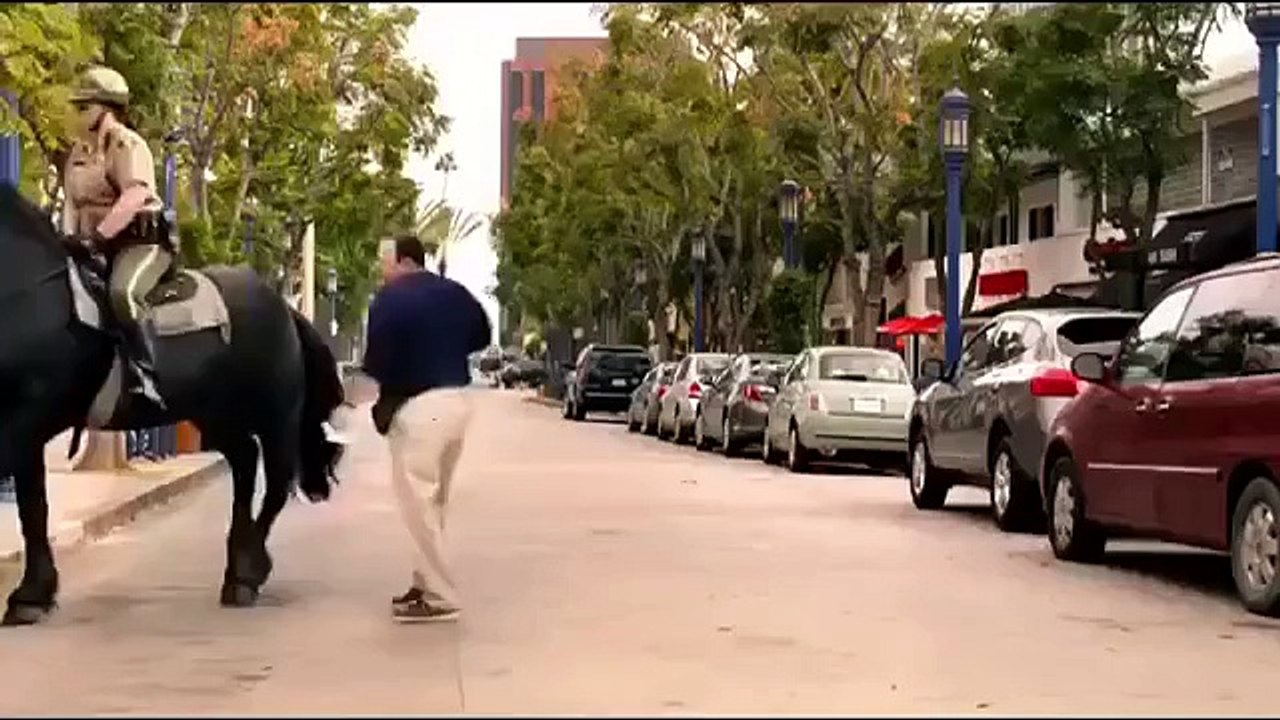 Не нужно бить лошадь
