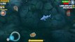 Hungry Shark Evolution 4.4.0 Mod (Unlimited Money) apk free download