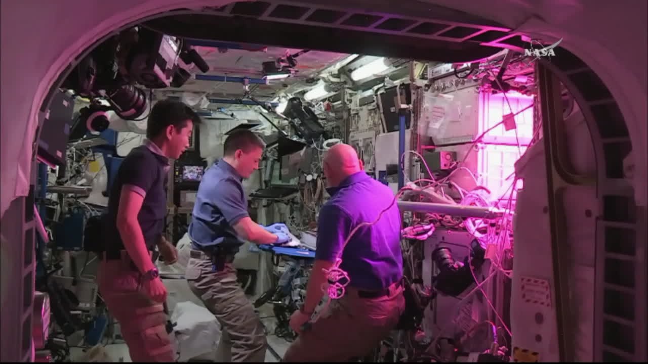 Astronauten essen erstmals im Weltall gepflanzten Salat