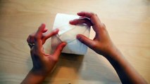 How to make origami paper Rose from tissue
