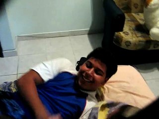 cavalo X porca  2º round