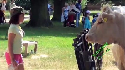 Ultimate XXX Fail Compilation - Fail Animal Attack - Funny Video - Total Funny Stupid people