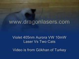 Two Cats Vs a Violet Laser Pointer