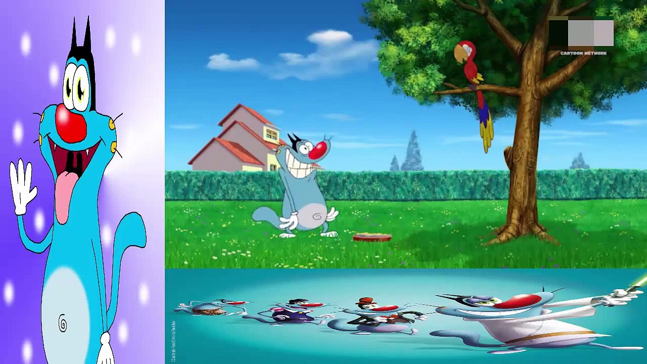 Oggy 2015 - Oggy And The Cockroaches In Hindi Episodes - Oggy New Episode Buddy Parrot