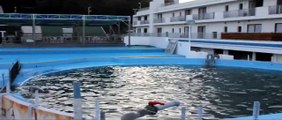 A look behind Taiji's Dolphin Resort walls . . . Dolphins in captivity