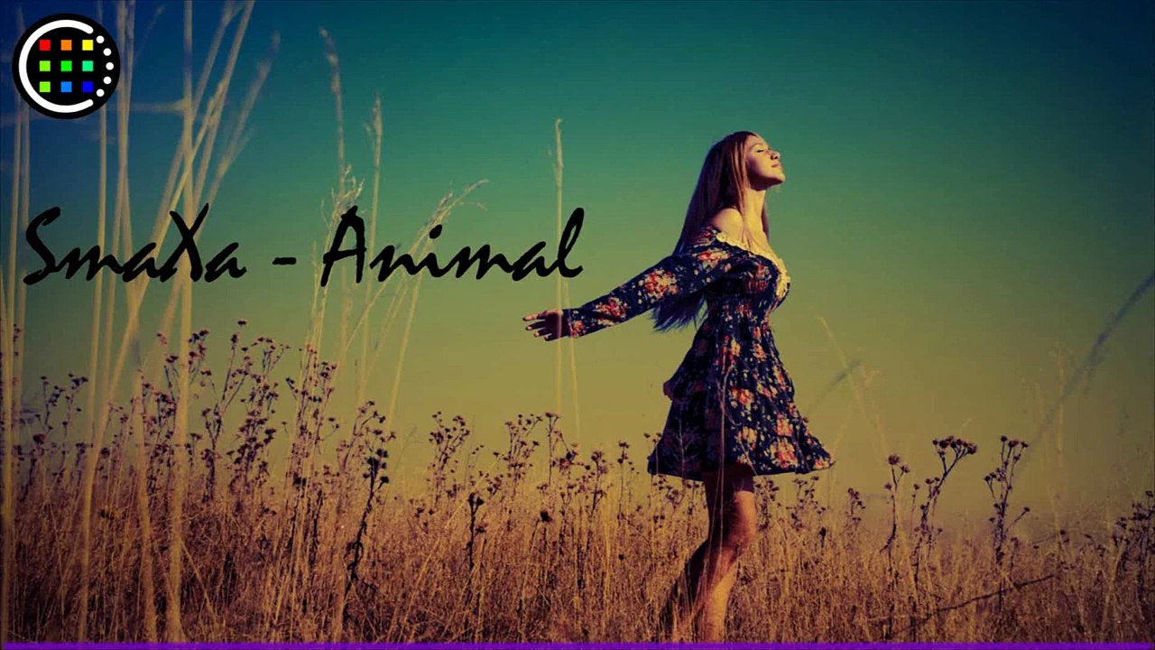 SmaXa- Animal