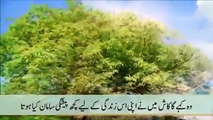 VID-20150809-WA0001.mp4