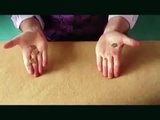 Four Coins Revealed Magic Tricks for Kids.mp4