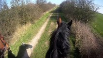 Horse riding Beach Horse Holidays Field farm Lincolnshire UK promo