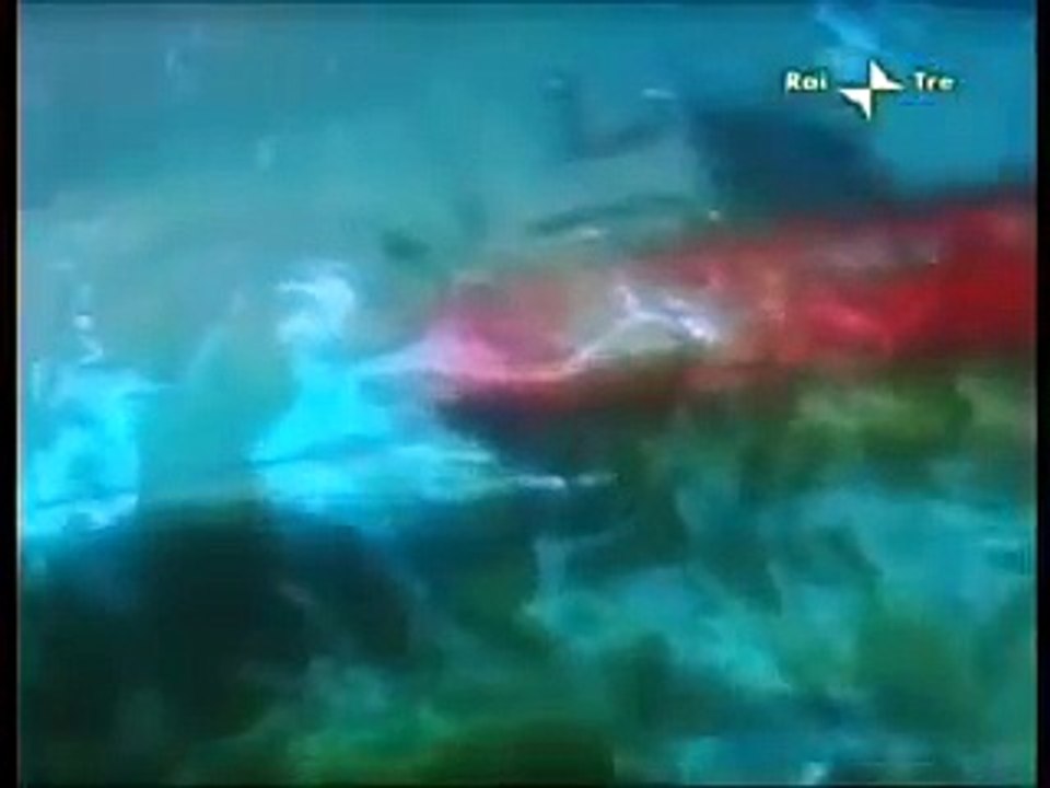 Blu Notte: Il Mare dei Veleni (1/10)