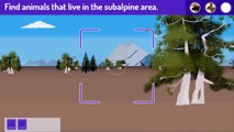 Plum Landing Rocky Mountain Roundup Cartoon Animation PBS Kids Game Play Walkthrough