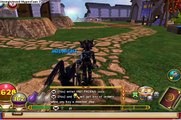 Wizard101 Code For Crowns And Pet