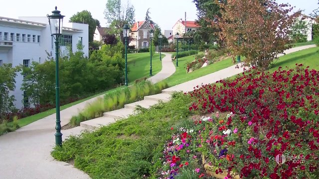 SCANDELLA FRERES : Création,entretien,élagage d'espaces verts Clichy (93)