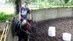 Starting Data under saddle, ride 25, 1st ride western saddle