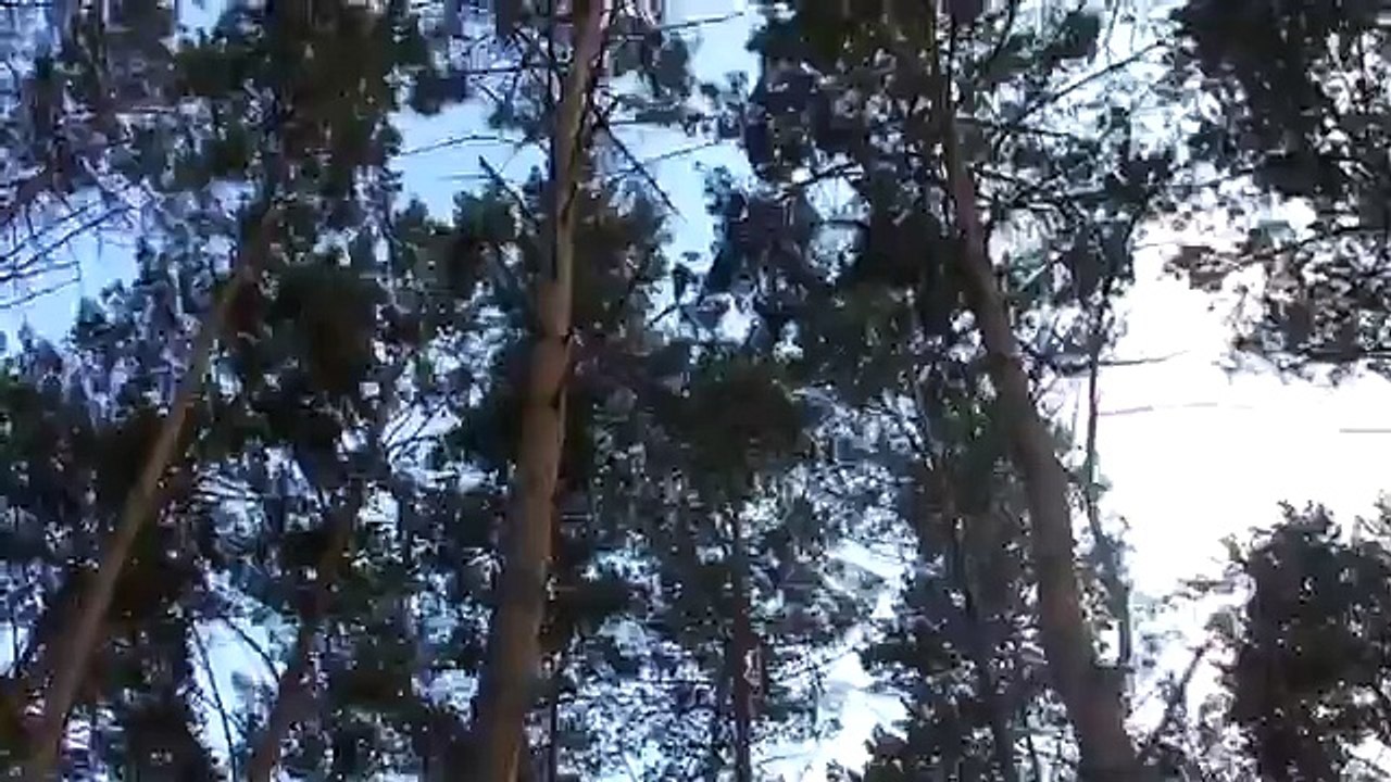 Проблемы экологии! (Благовещенск, река Бурхановка)