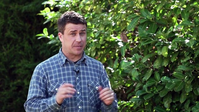 Prevent Subsidence and Heave - Craig Phillips Home Advice with Aviva