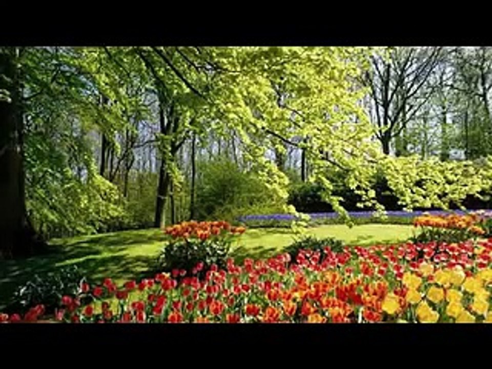 MONTAJE Cuentos de los Bosques de Viena (AMC PUENTE ROMANO)