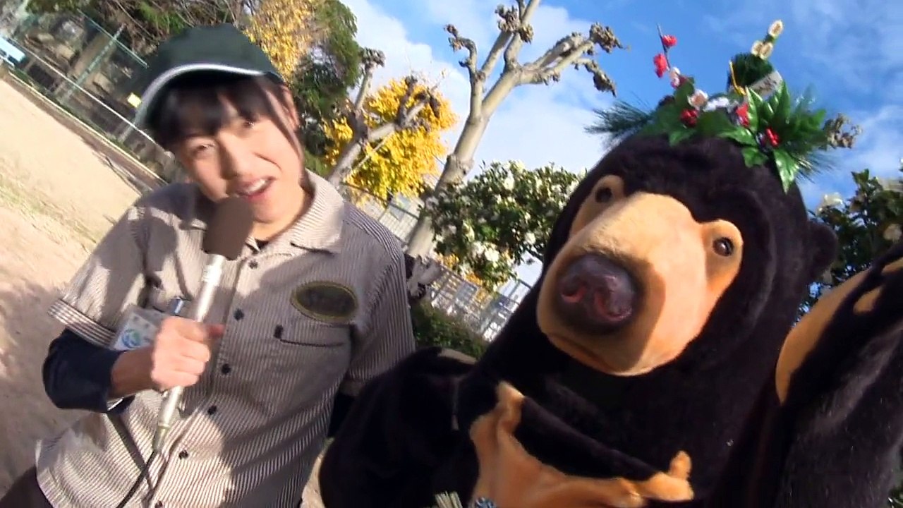 ツヨシのゴー！ＧＯ!動物園vol.9 マレーグマ