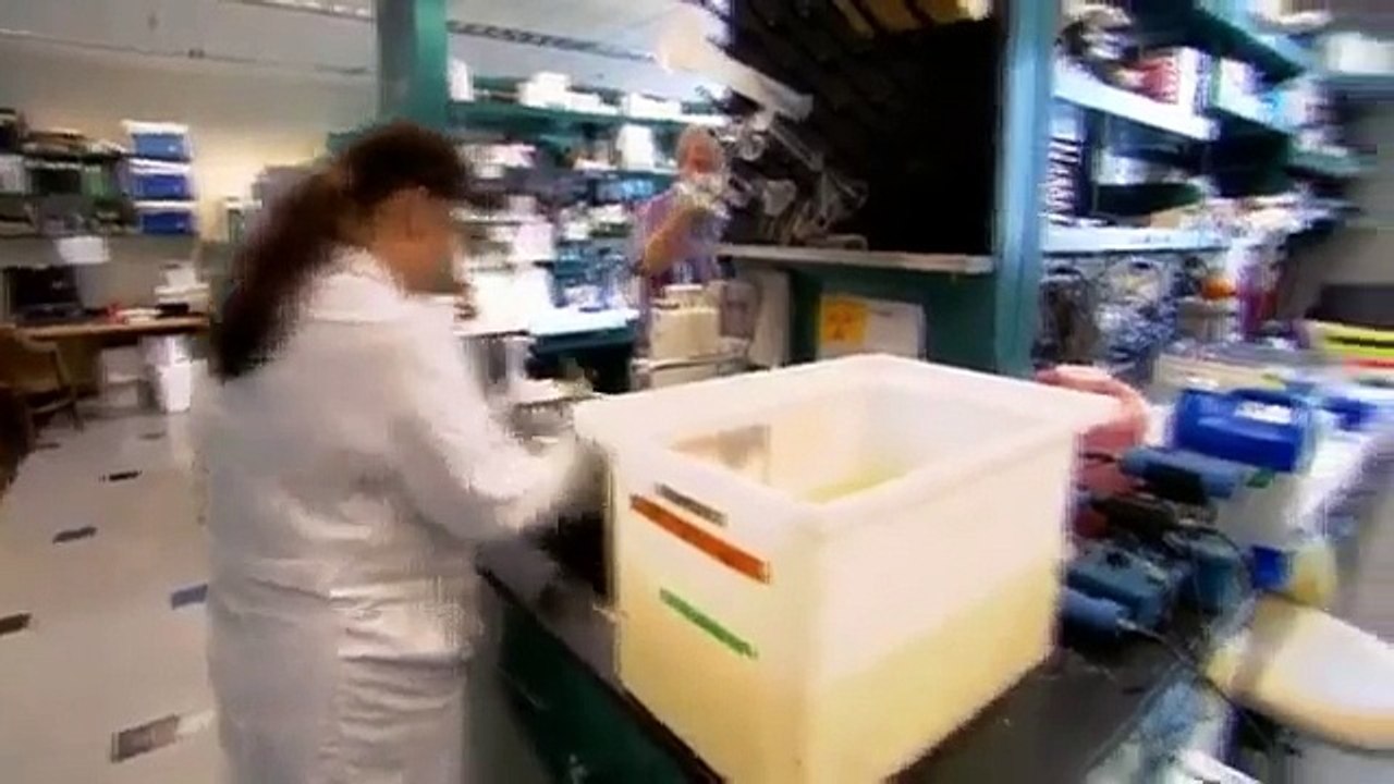 National Geographic  Worlds Most Dangerous Drug Meth 04 06