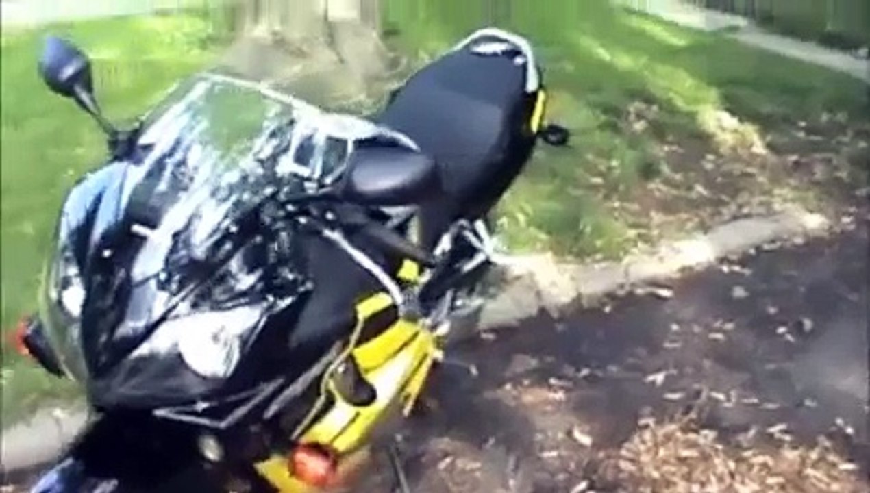 Headstrong Honda CBR 600 F4i Crazy