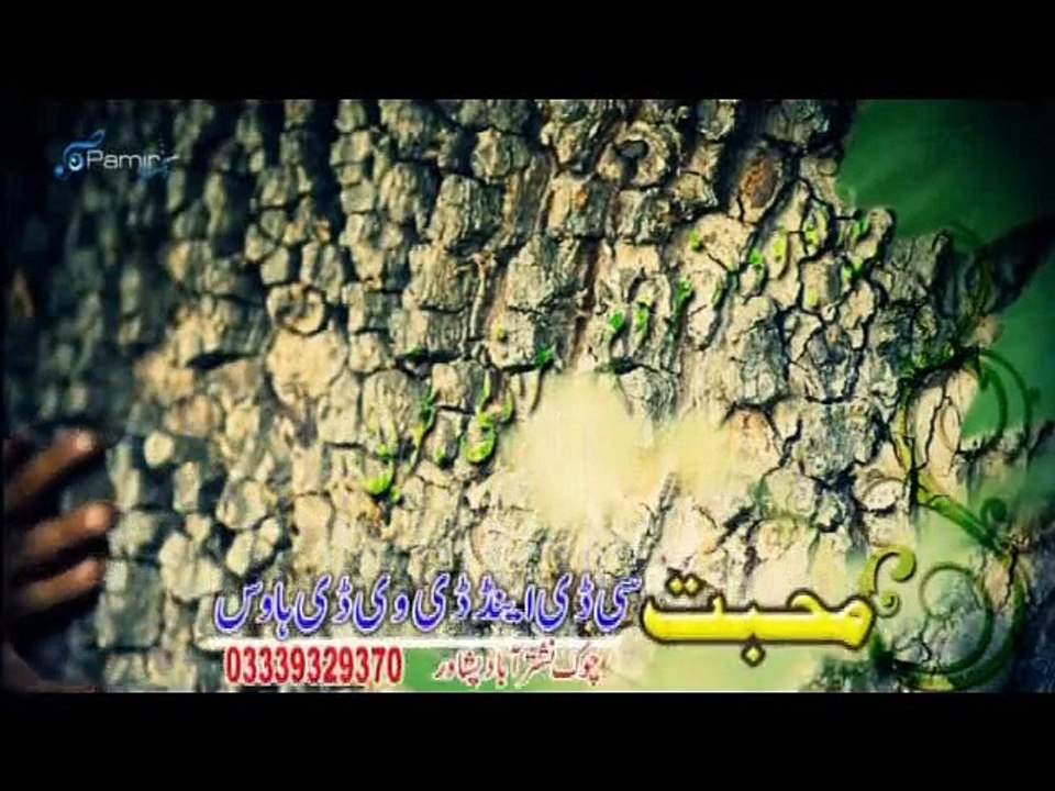 Za Dy Ashna Da Bagh Wali Muhabbat Kawal Guna Da Pashto Songs & Dance Album 2015 Pashto Tang Takoor