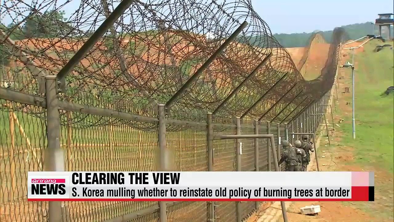 S. Korea mulling reinstatement of tree-burning policy at border