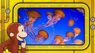 Curious George Full Episode UnderSea Animals Educational Cartoon Game [HD]