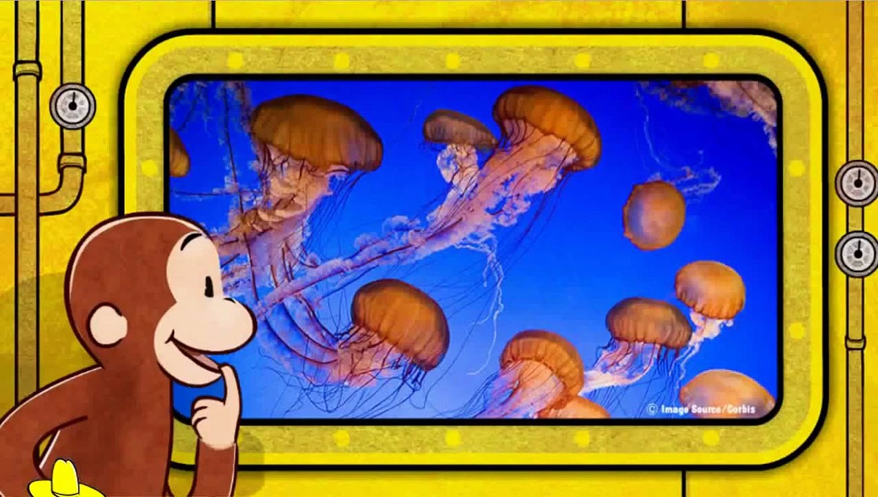 Curious George Full Episode UnderSea Animals Educational Cartoon Game [HD]