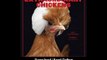 Extraordinary Chickens 2015 Wall Calendar EBOOK (PDF) REVIEW
