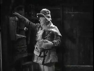 1933 The Fatal Glass of Beer (W. C. Fields, Rosemary Theby, Richard Cramer)